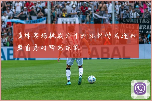 黄蜂客场挑战公牛科比怀特或迎加盟首秀对阵老东家