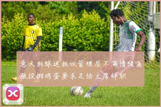 意大利球迷抗议管理层不满情绪高涨投掷鸡蛋要求足协主席辞职