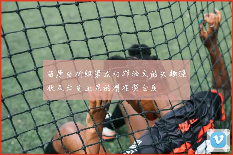 苗原分析铜梁龙对邓涵文的兴趣现状及云南玉昆的潜在契合度