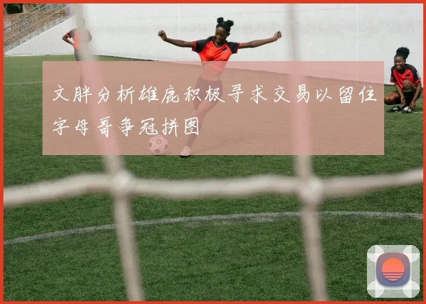 文胖分析雄鹿积极寻求交易以留住字母哥争冠拼图