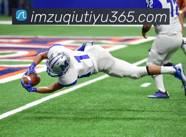 IM体育APP 封面图