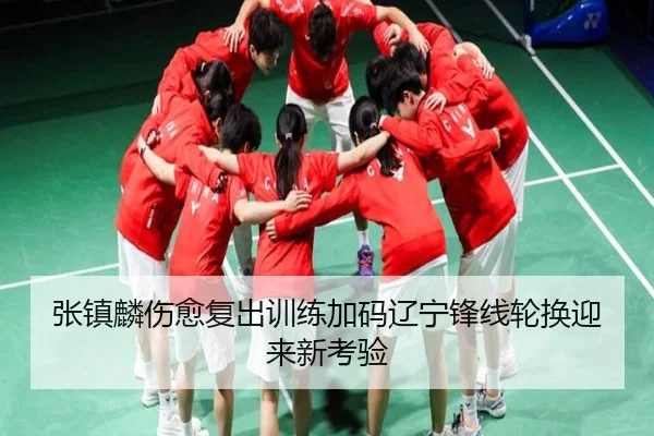 张镇麟伤愈复出训练加码辽宁锋线轮换迎来新考验（IMSPORTS）